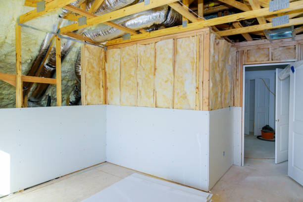 Best Eco-Friendly or Green Insulation Solutions  in , GA