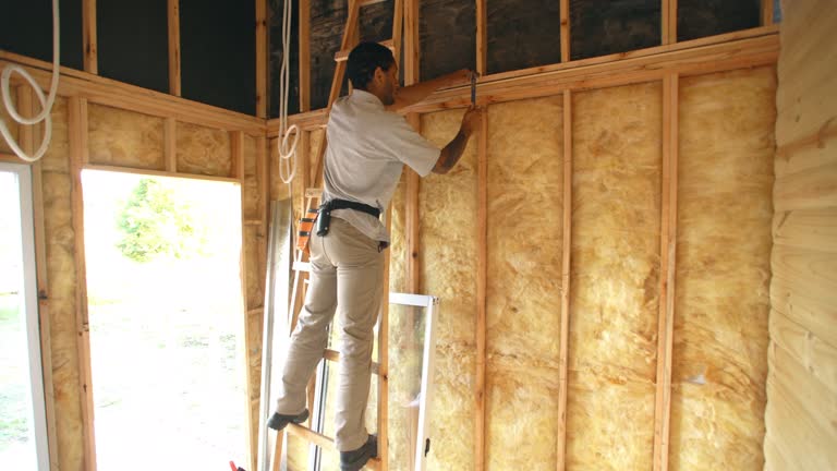 Best Garage Insulation  in , GA